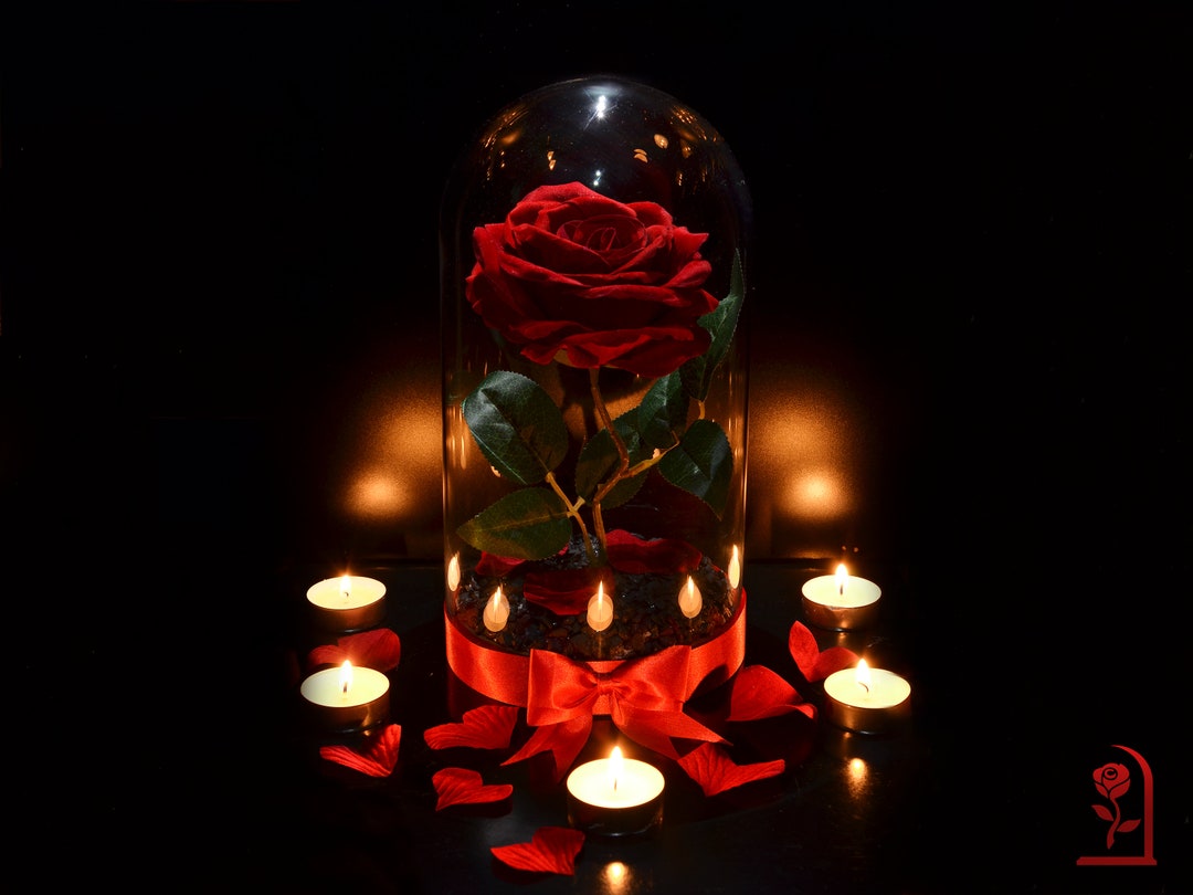 Romantic Red Rose in Glass Dome, Valentine's Day Gift for Wife, Forever ...