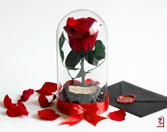 Beauty and the Beast Red Rose in Glass Dome, Perfect Valentine's Day Gift for Girlfriend, Memorable Holiday Gift, Ideal for Anniversaries