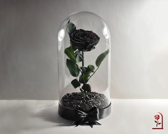 Premium Black Rose, Memorable Valentine&#39;s Day Gift, Preserved Black Rose in Big Glass Dome, Personalized Birthday Gift for Girlfriend