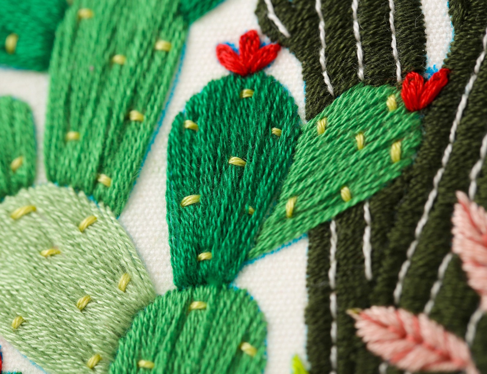 Beginner Embroidery Kit / Tropical Cactus Embroidery Kit / Etsy