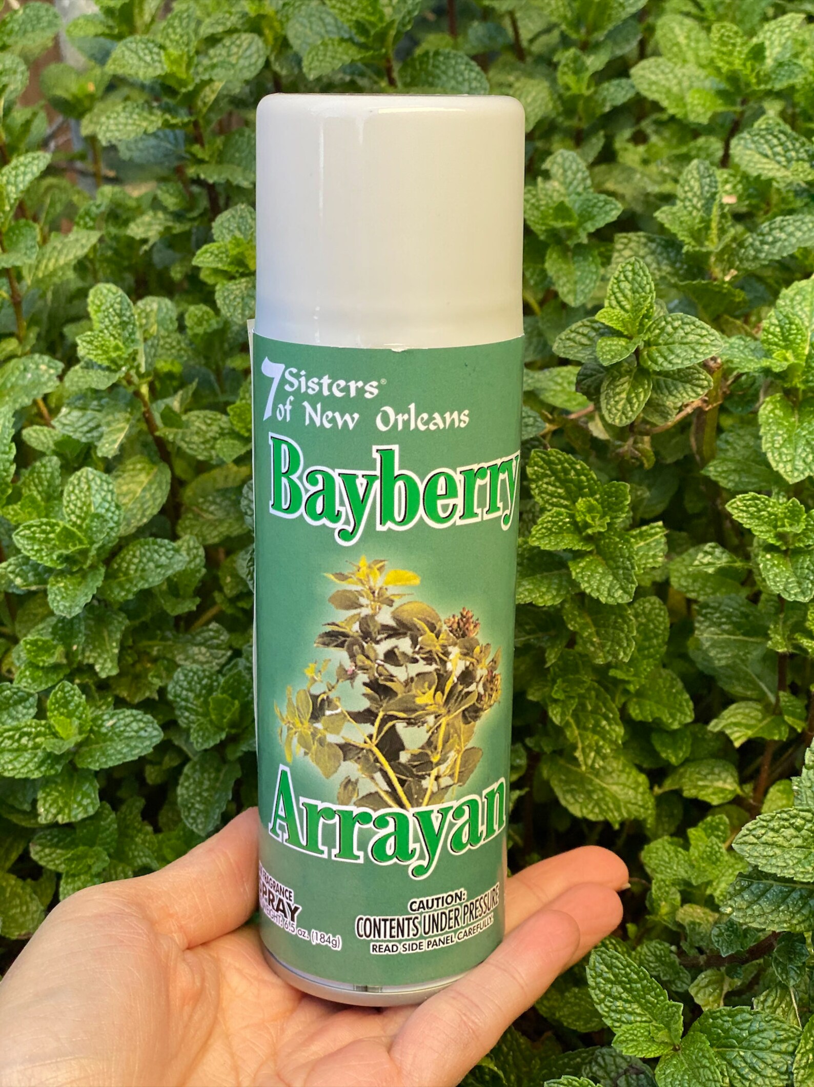 Good Fortune Bayberry Spray/Aerosol Spiritual Cleansing Water Etsy