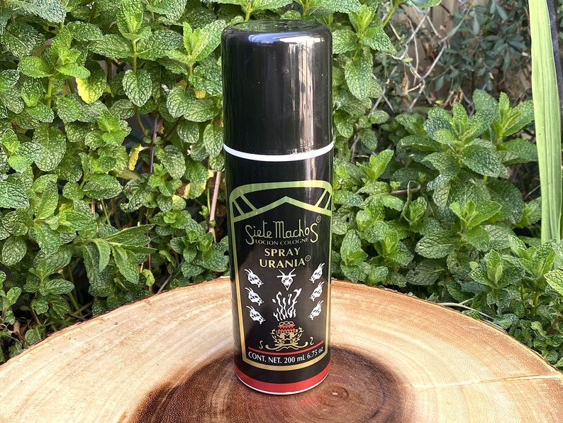 May include: A black spray bottle with white and gold accents, labeled "Siete Machos Locion Cologne Spray Urania." The bottle has a black cap and a red base. The background features green foliage and a wooden surface.