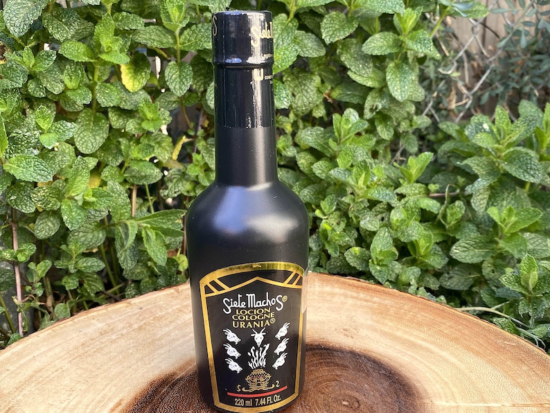 May include: A black cologne bottle with a gold label featuring the text "Siete Machos Locion Cologne Urania". The bottle contains 7.44 fl oz (220 ml) of cologne. The background is a green leafy plant.