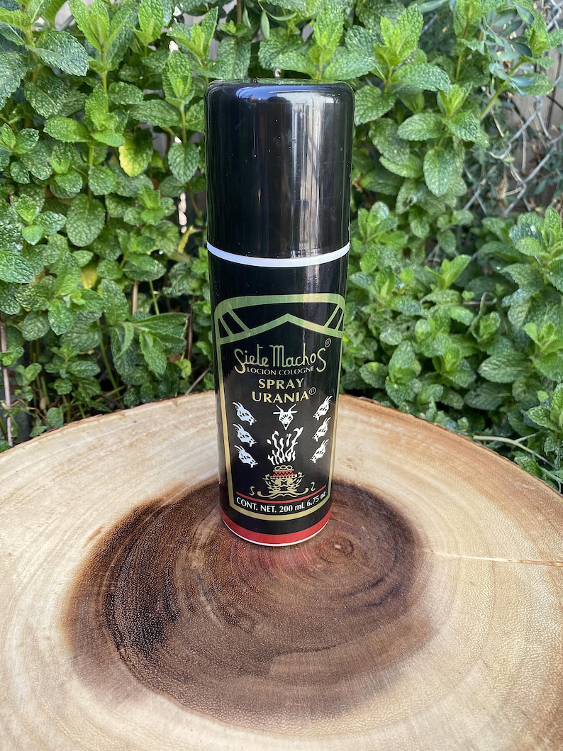 May include: A black spray bottle of "Siete Machos Spray Urania" cologne, with gold and white accents. The bottle is on a wooden surface, with a green leafy background. The bottle contains 6.75 fl oz (200 ml).