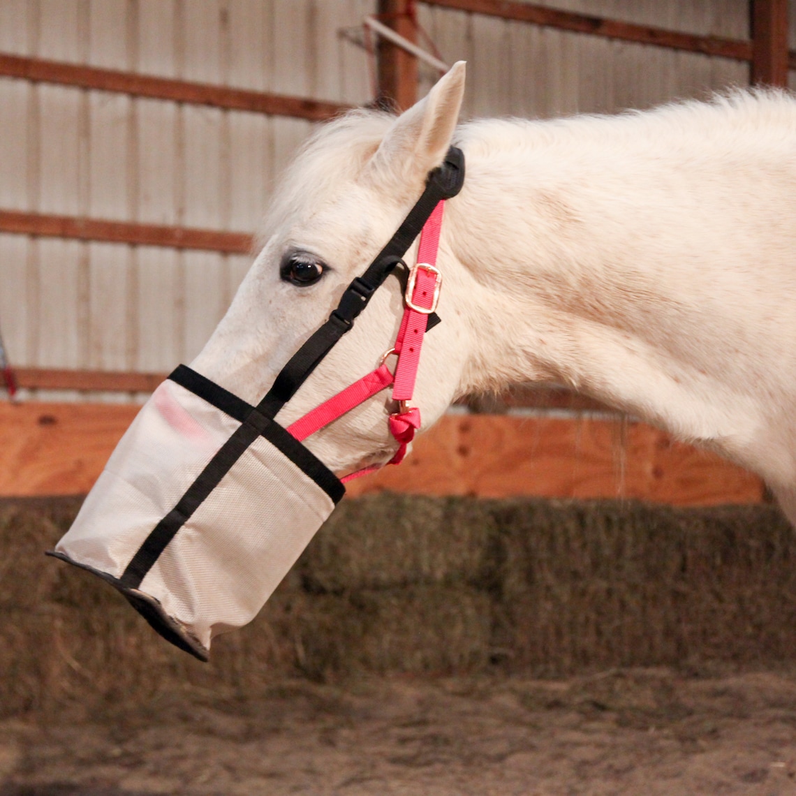 Majestic Ally Horse Feed Bag Nylon Mesh Grain Feed Bag Etsy