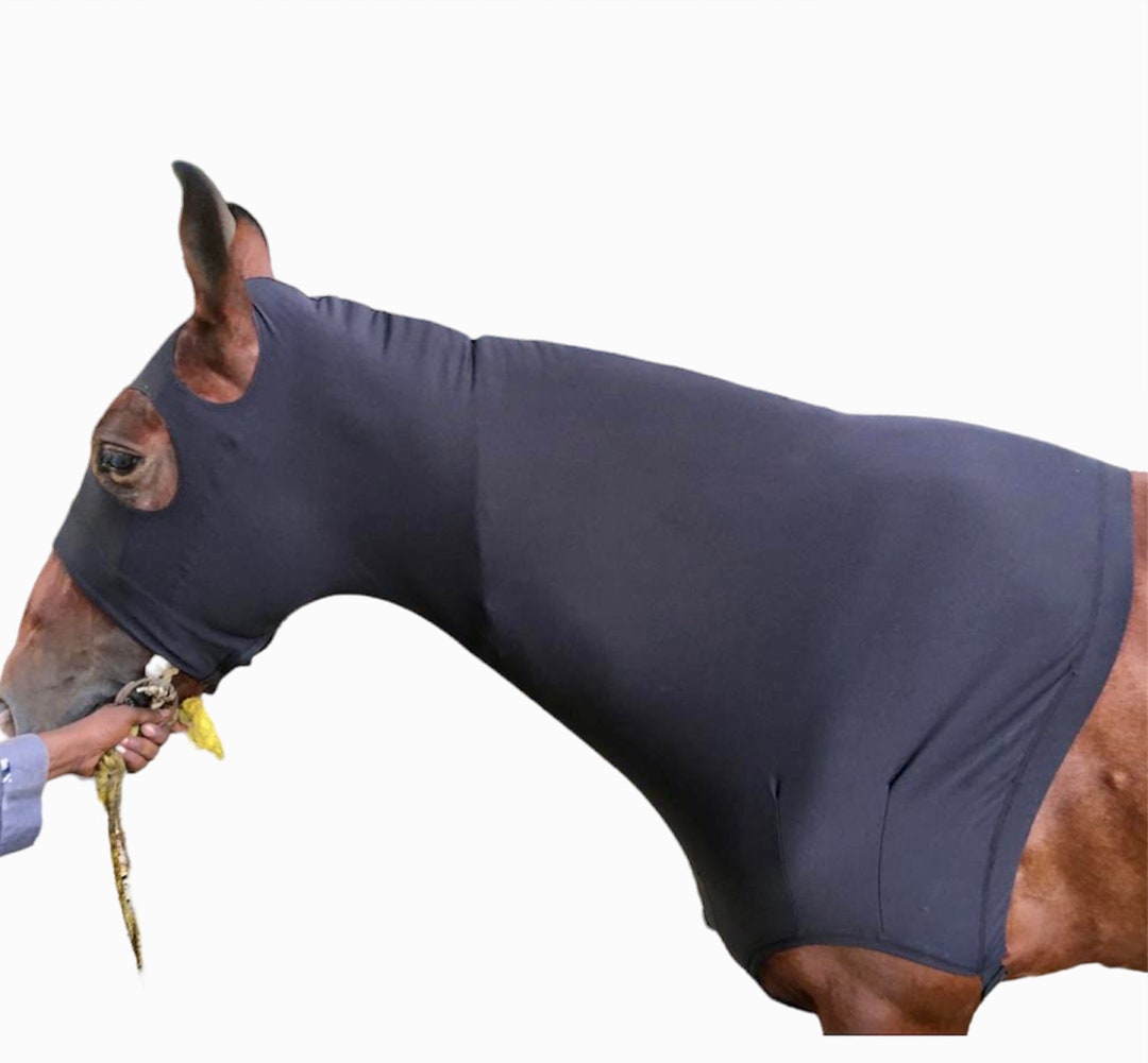 Majestic Ally Stretch Lycra Horse Hood With Zipper Etsy
