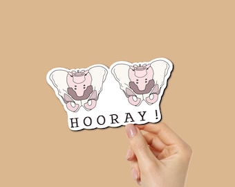 Physical Therapy Sticker, Pelvic Health PT DPT PTA Vinyl Decal