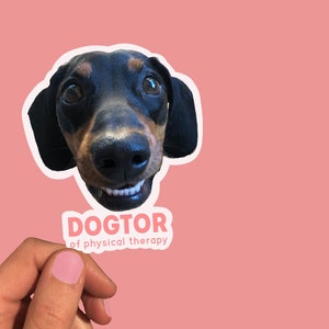 Dogtor of Physical Therapy Customizable Sticker, Physical Therapist, Dog PT Sticker, Gift for DPT, PTA sticker, Physical Therapy