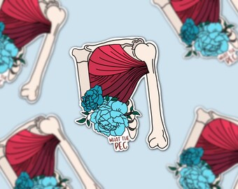 Può includere: Un adesivo con un'illustrazione stilizzata di un'articolazione della spalla con muscoli rossi e accenti floreali blu. Il testo "WHAT THE PEC" è visibile. Il design è su uno sfondo azzurro.