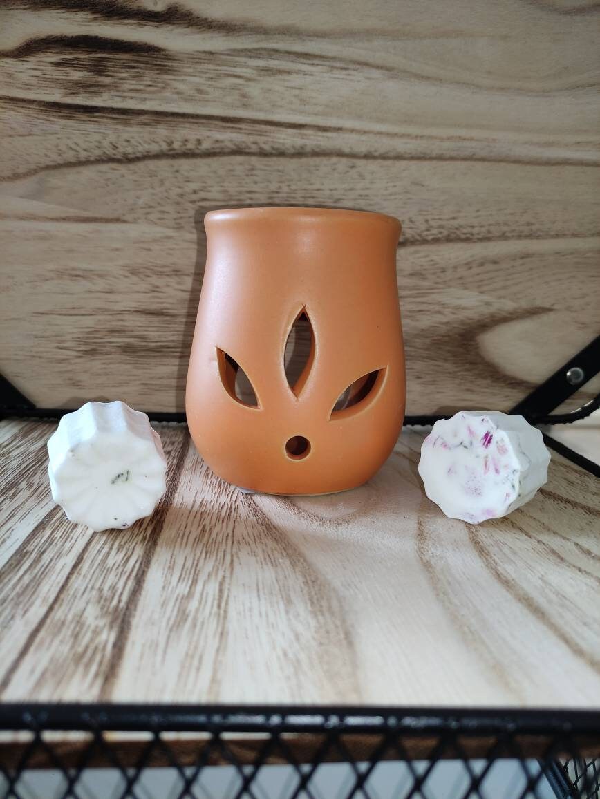 Brûle Parfum, Bruleur Pour Fondants Parfumés, Bougies, Huiles Essentielles