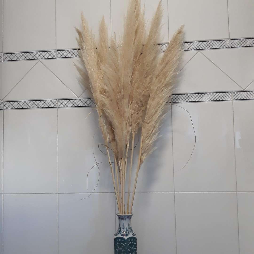 long pampas grass decor long pampas grass decor