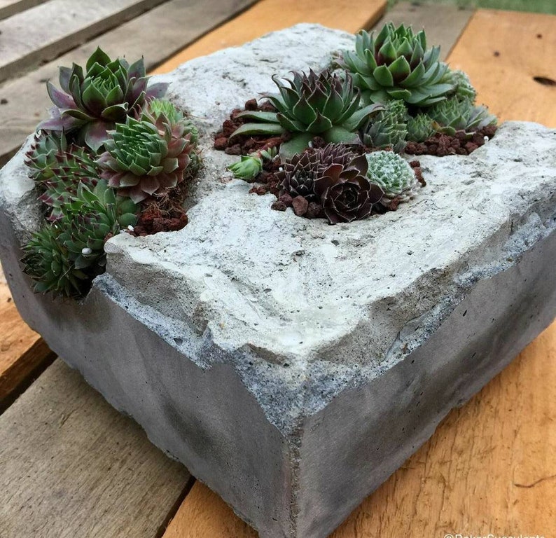 Rock Planter Moss Garden Concrete Planter Container Etsy