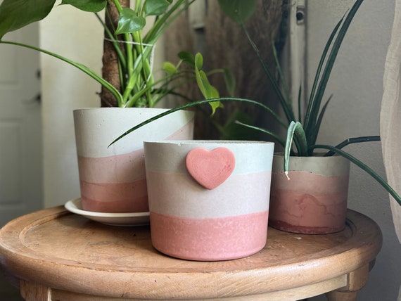 8 Inch Pot Pink Pot Pink Planter Large Planter Planter Pot Indoor