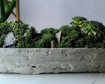 14 inch planter - long planter - boat planter -vesssel planter - moss garden - succulent planter - table center piece - succulent pot