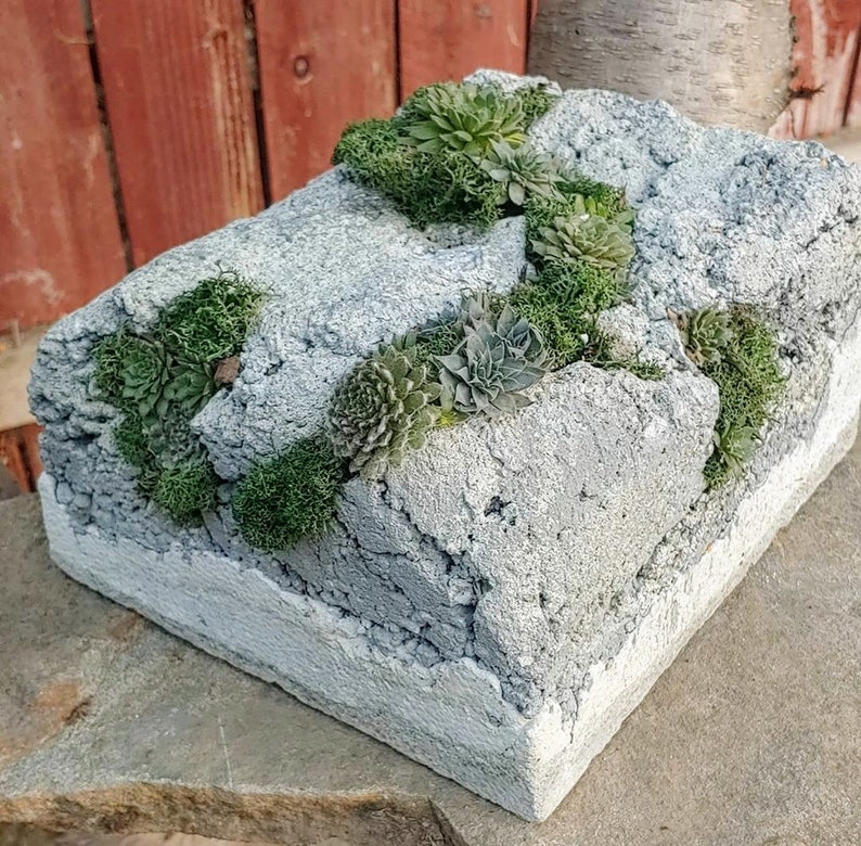 Rock Planter Moss Garden Concrete Planter Container Etsy
