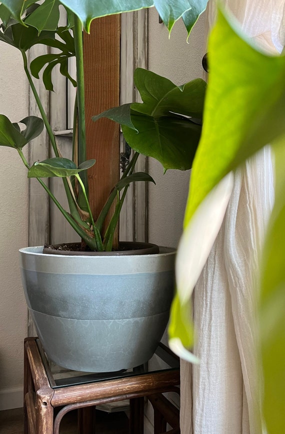 14 Inch Pot - 14 Inch Planter - Large Pot - Large Indoor Plant Pot - Large  Plant Planter - Modern Planter - Tree Planter - Concrete - Etsy