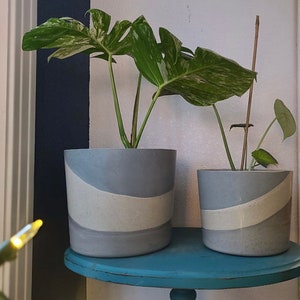 May include: Two potted plants with variegated leaves in gray and white ceramic pots on a blue table. The larger plant has a single stem with multiple leaves. The smaller plant has multiple stems with smaller leaves.