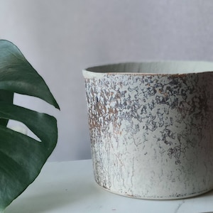 May include: A cylindrical ceramic planter with a textured, off-white and brown exterior. The planter has a wide opening and a light green interior. A large, green monstera leaf is visible in the background.