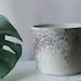 see more listings in the 8" concrete pots section