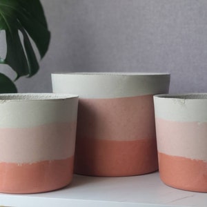 6 inch pot - pink pot - small pot - cylinder pot - succulent pot - cactus pot - house plant pot - boho pot - concrete pot - round pot