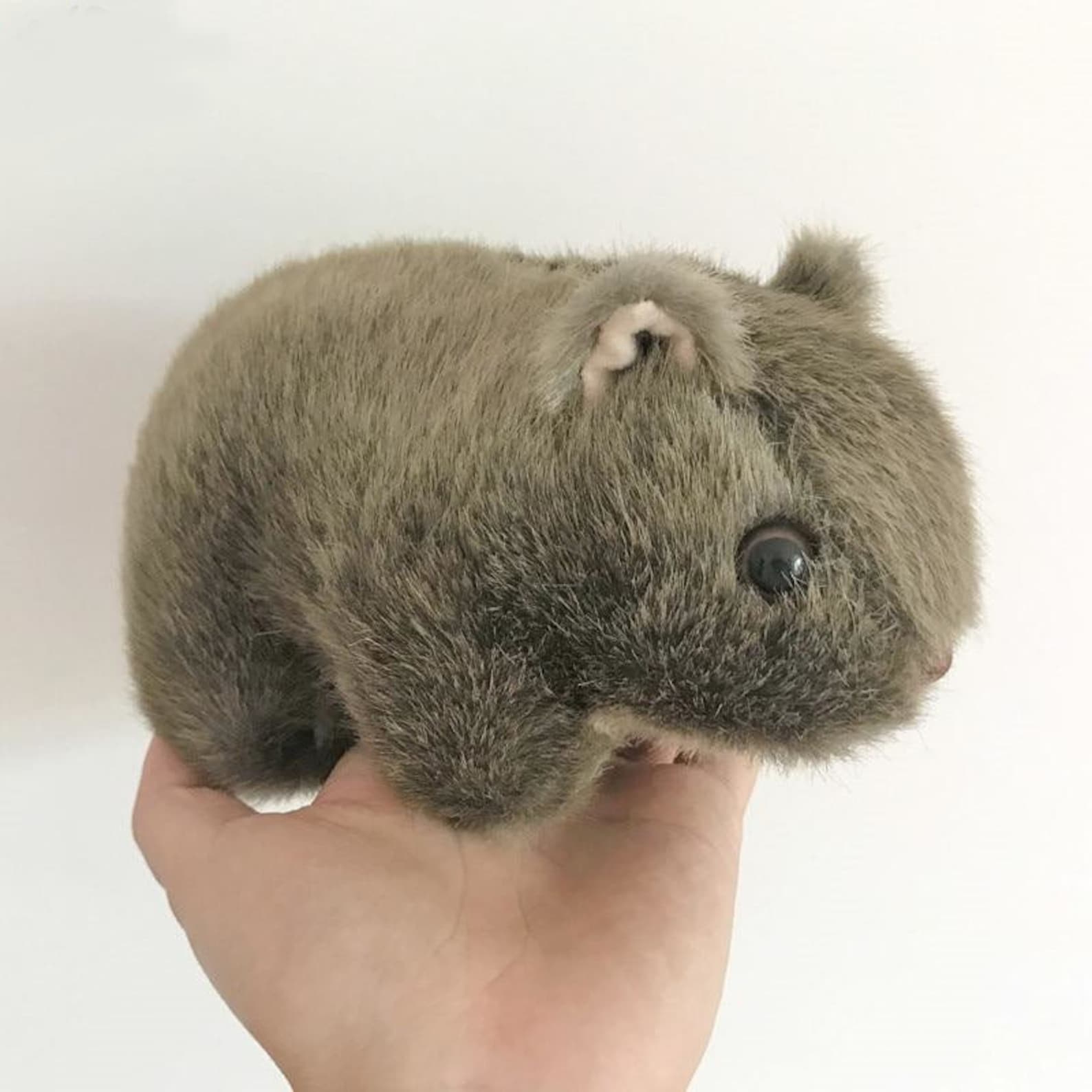 Wombat Plush Toy Soft Stuffed Wombat Animal Toy Two Sizes | Etsy