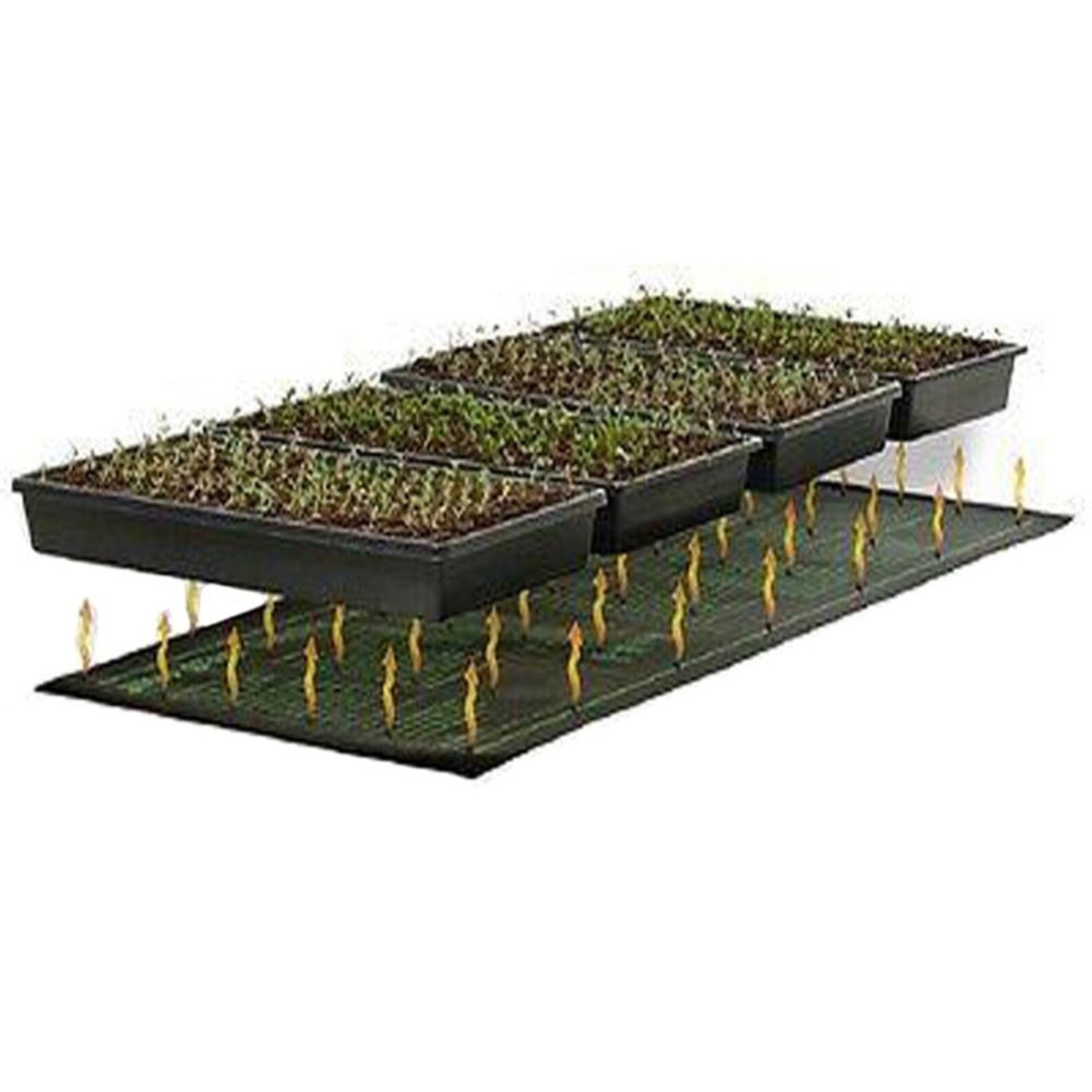 Seedling Heating Mat 50x25cm Waterproof Plant Tray Etsy
