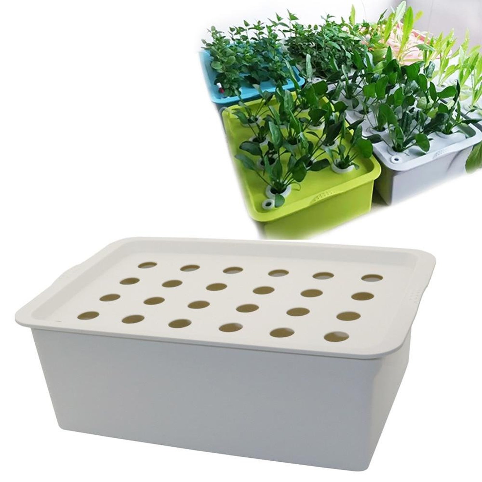 Hydroponic Grow Box Tub 24 Hole Hydro Growing Cultivation Etsy
