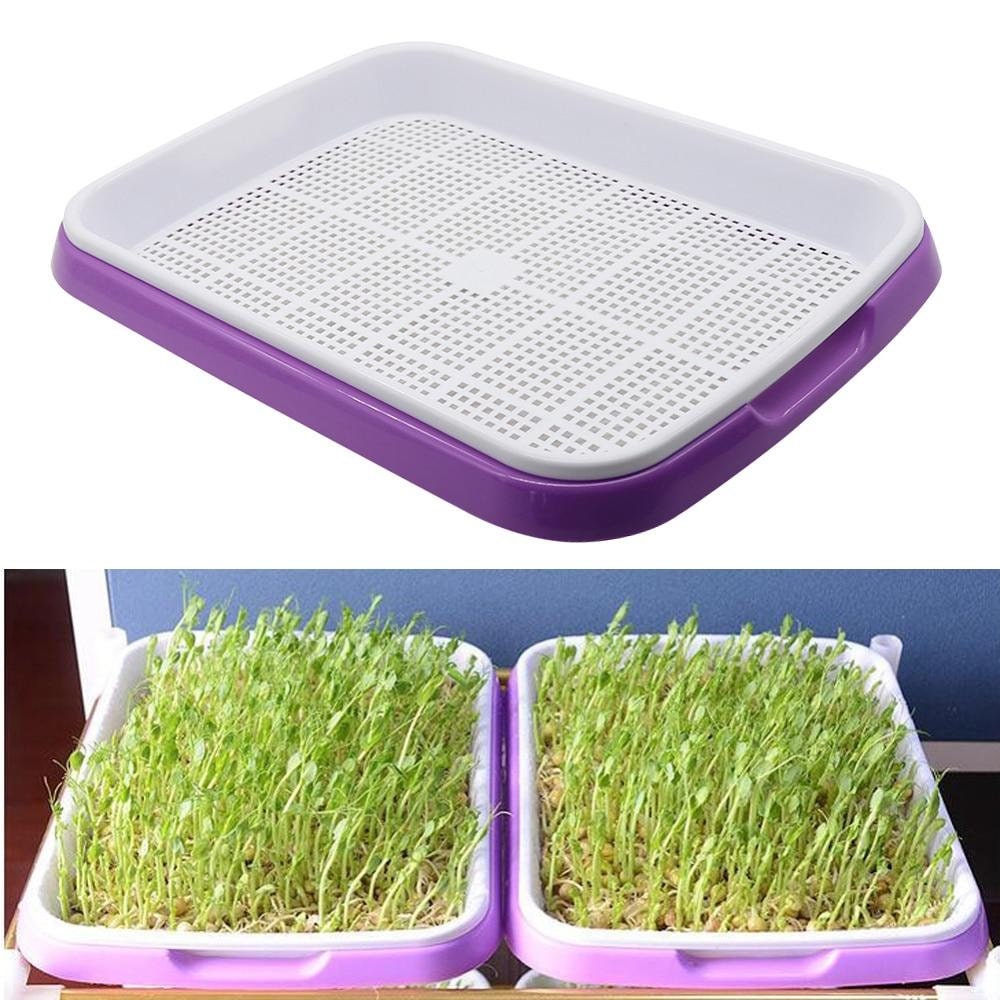 Seed Sprouting Grow Trays Double Layer Sprout Trays Bean Etsy