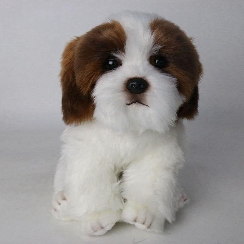 Shih Tzu Dog Plush Toy Soft Stuffed Dog Animals 24cm Etsy