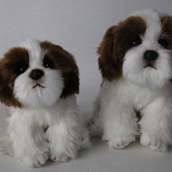 peluche chien shih tzu