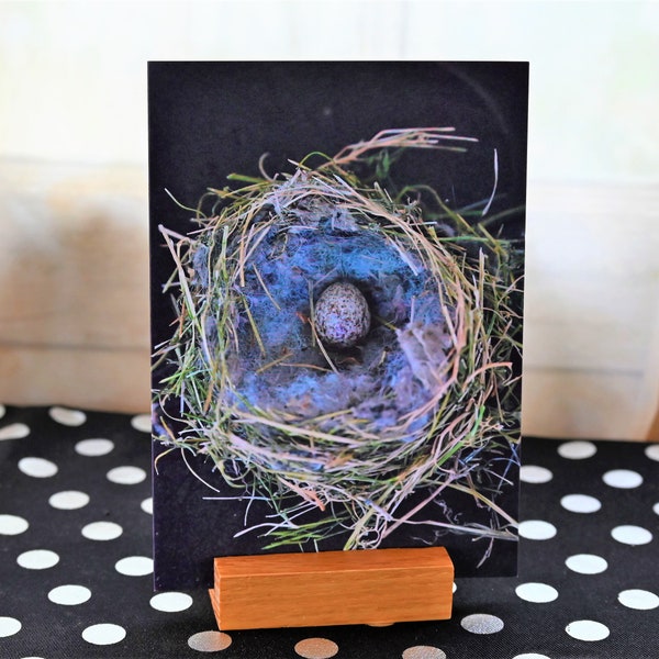 Bird's Nest Greeting Card-Nature Photography, Gallery Card, House Finch, Speckled Egg, Wildlife Photography, Birthday, Mother's Day, Easter