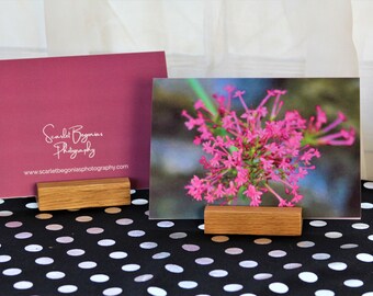 Pink Flower-Museum Gallery Card,Greeting Card, Birthday Card, Nature & Landscape, Photo Card, Blank Note Card, Co-worker card, Get Well Card