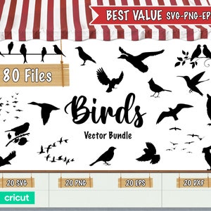 Birds Vector SVG Bundle / Svg / Png / Dxf / Eps / Cricut / Silhouette / Stickers / High Quality (See Bulk Discounts)