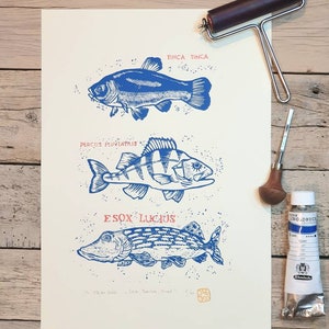 Linogravure A3 &quot;3 poissons&quot;
