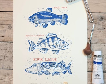 Linolschnitt A3 "3 Fische"
