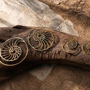 Nautilus Hoop Earrings • Ammonite Spiral Hoops • Brass or Silver Sacred Geometry image 6