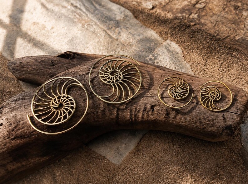 Nautilus Hoop Earrings • Ammonite Spiral Hoops • Brass or Silver Sacred Geometry image 6