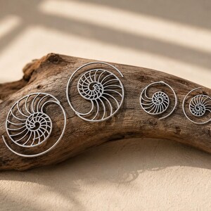 Nautilus Hoop Earrings • Ammonite Spiral Hoops • Brass or Silver Sacred Geometry image 7