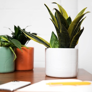 Ceramic Planter | Drainage Hole | 5 inch Planter | Minimalist Design Pot