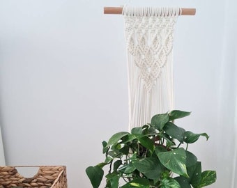 Diamond Pattern Macrame Plant hanger for medium Size Indoor Plants