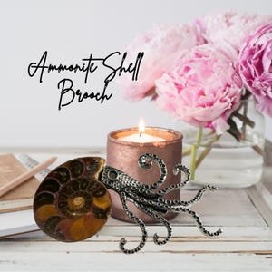 Ammonite Fossil Brooch | Conch | Spiral Shell Fossil | Fossil | Ammonite Fossil | Ammonoid | Mollusc Shell | Snakestone | Cephalopods