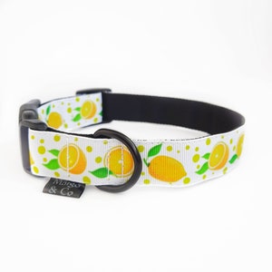 Collar de perro de limón Collar de perro de tela Collar de perro suave Collar de perro niño Collar de perro martingala Accesorios para perros Regalo para perros