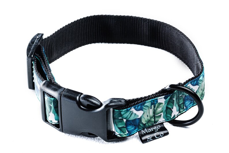 rick rack puppy collar