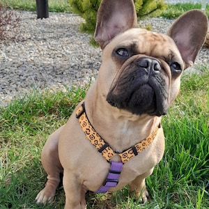 Leopard dog harness Orange and violet dog harness Fabric dog harness Strap dog harness Girl Boy dog harness Dog safety Dog gift