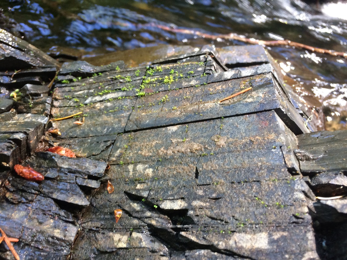 Rocks at the River on Vancouver Island Etsy