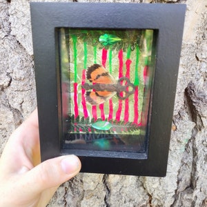 Vintage Key Sphinx Moth Wings Shadowbox Oddity Display