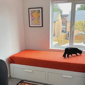 May include: A white daybed with two storage drawers underneath, topped with a textured orange quilt. A black cat stands on the bed near a window. A framed abstract print with yellow shapes hangs on the wall above the bed, and a patterned rug lies below.