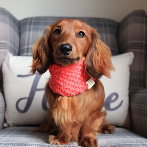 Spring Snood Coral image 7