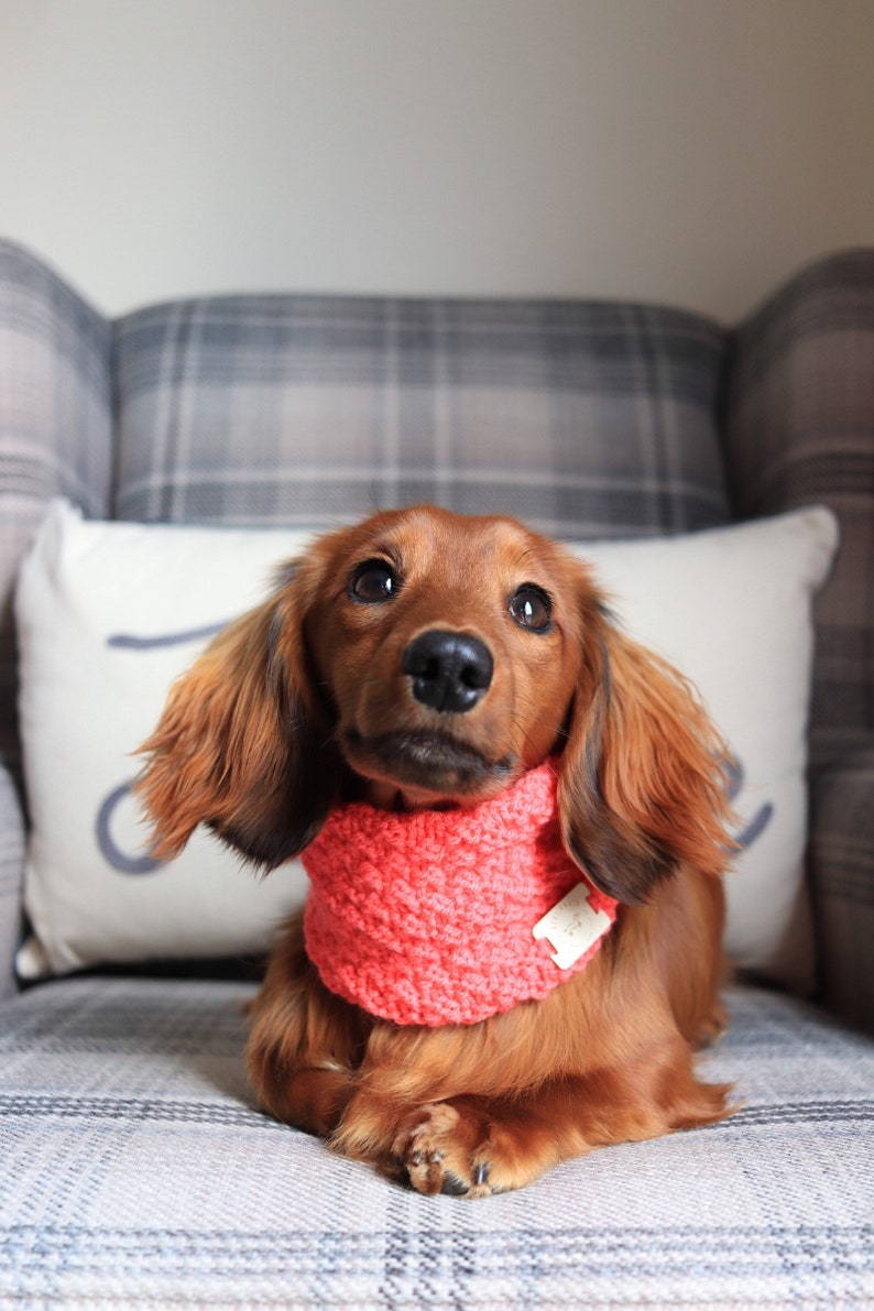 Spring Snood Coral image 10