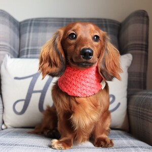 Spring Snood Coral image 9